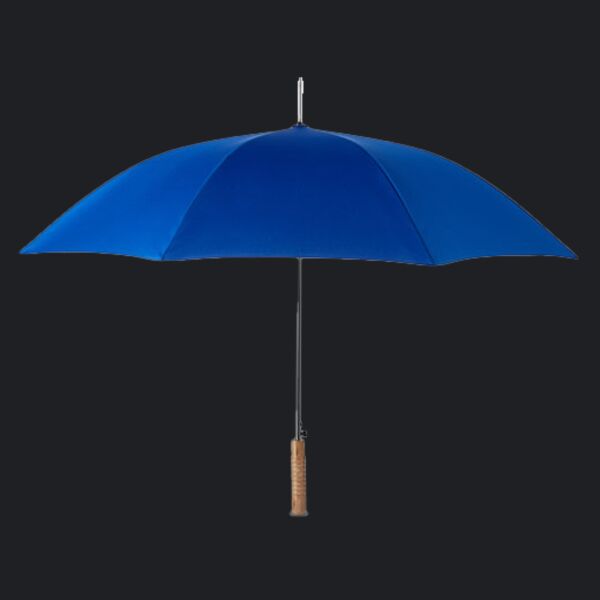 Stick Umbrella Thumbnail