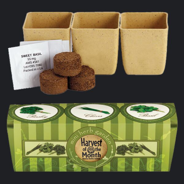 Growpot Eco-Planter Herb 3-Pack Thumbnail