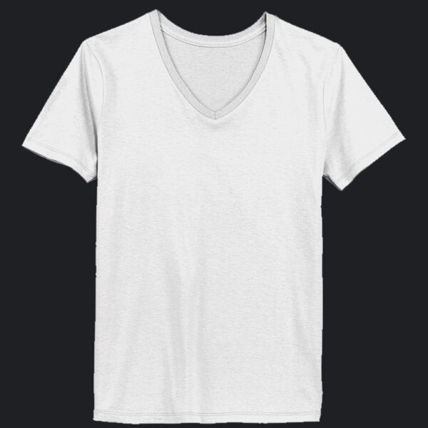 Ladies' Perfect-T V-Neck T-Shirt Thumbnail