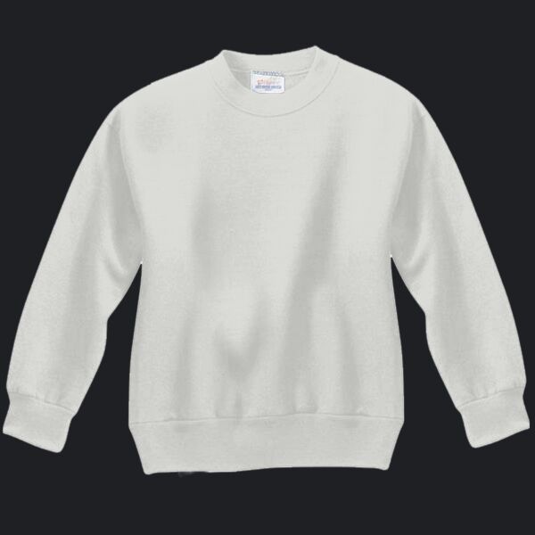 Youth ComfortBlend® EcoSmart® Fleece Crew Thumbnail