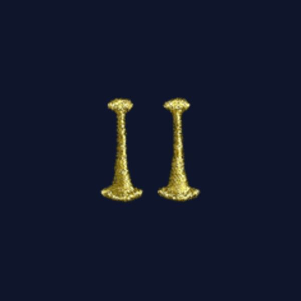 Captain Bugle Epaulette Daytona Beach FD  (Min 6 pairs) Thumbnail