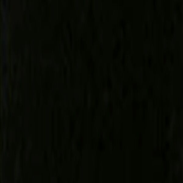 Honor Guard Epaulette Daytona Beach FD  - Black/Gold (Min 6 pairs) Thumbnail