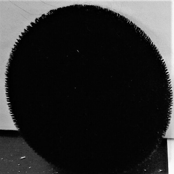 Rosette Black  Thumbnail